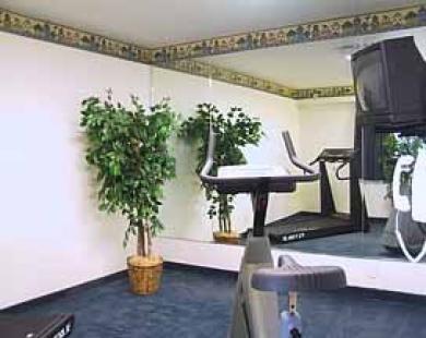 San Mateo Sfo Airport Hotel Facilities photo